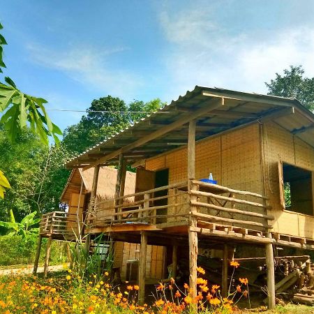 Baan Aingdoi Homestay, Chiang Dao Extérieur photo