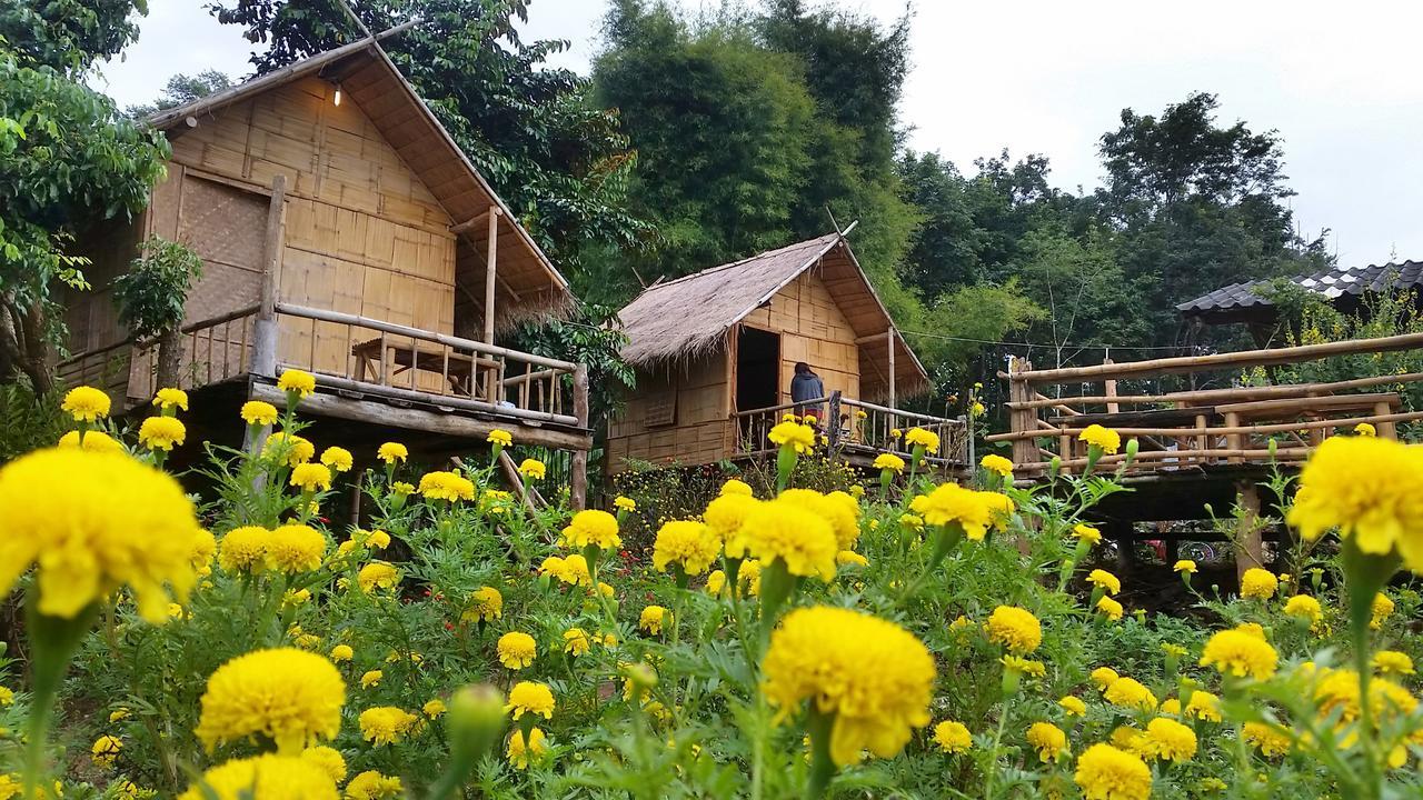 Baan Aingdoi Homestay, Chiang Dao Extérieur photo