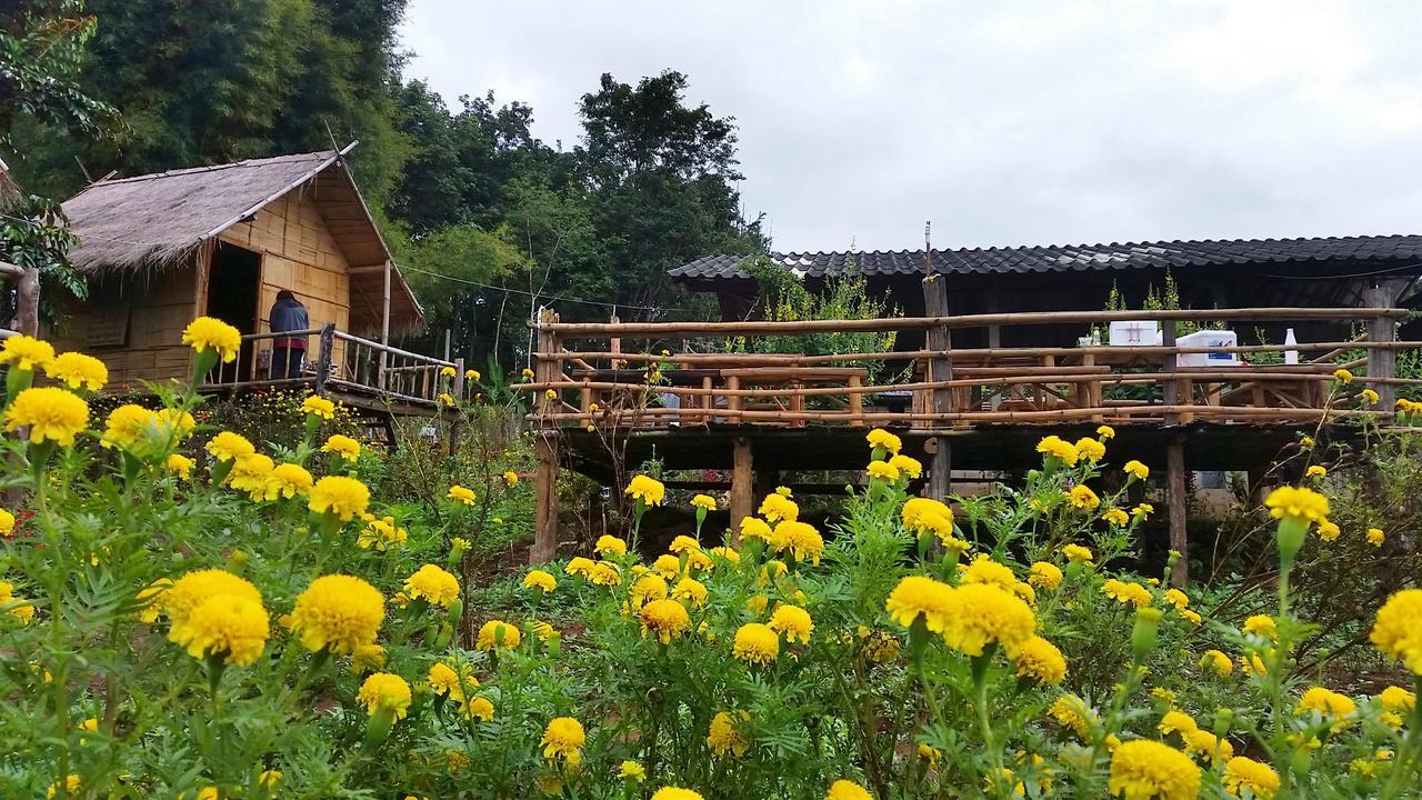 Baan Aingdoi Homestay, Chiang Dao Extérieur photo