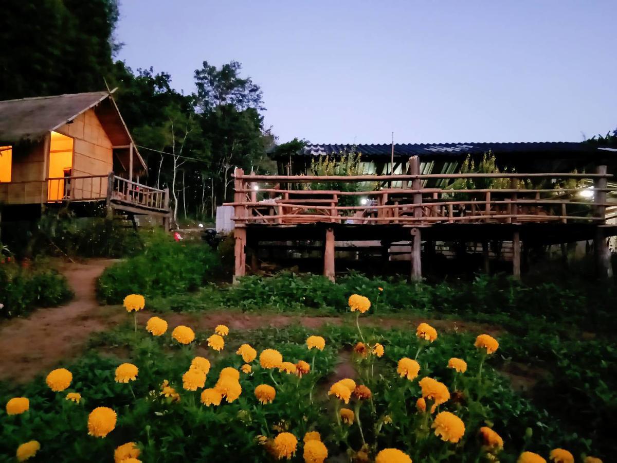 Baan Aingdoi Homestay, Chiang Dao Extérieur photo
