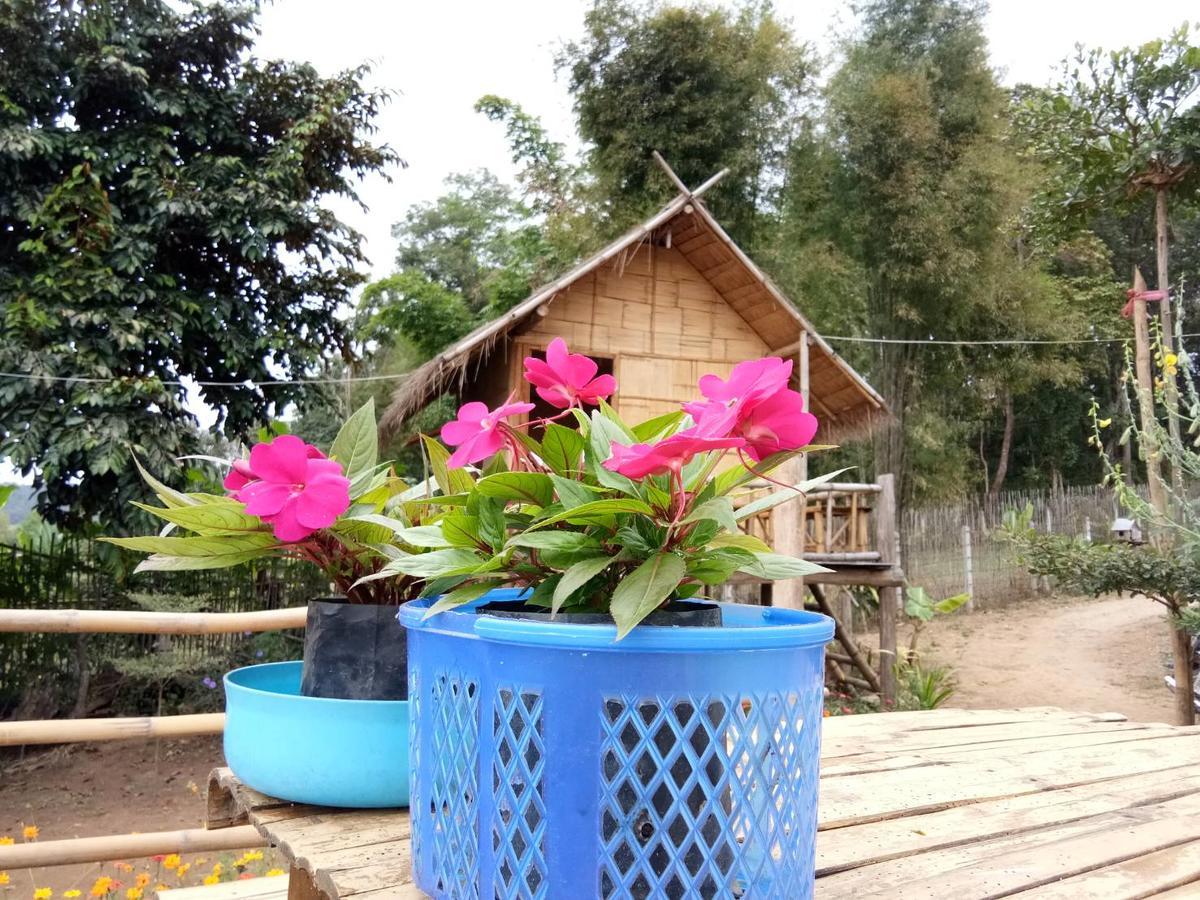 Baan Aingdoi Homestay, Chiang Dao Extérieur photo
