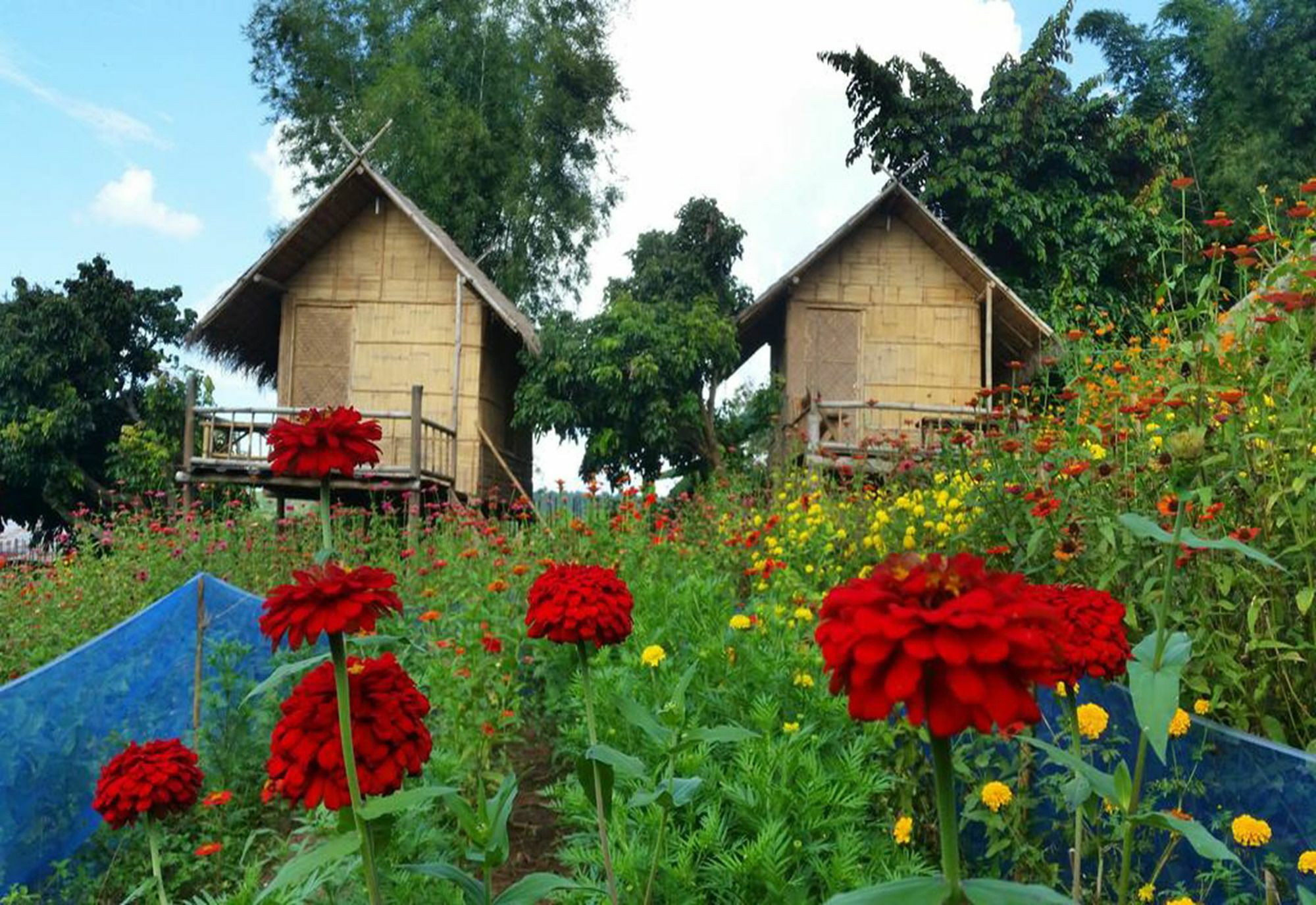 Baan Aingdoi Homestay, Chiang Dao Extérieur photo