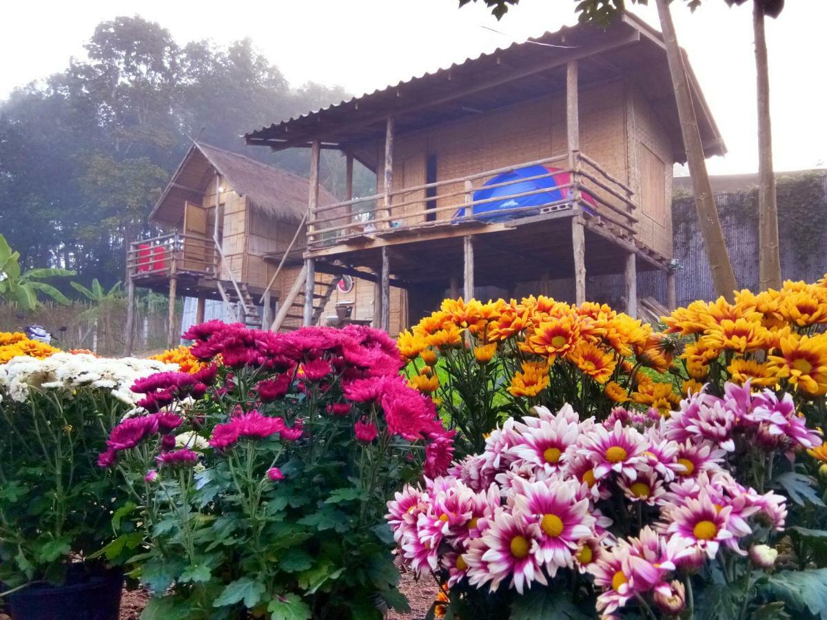 Baan Aingdoi Homestay, Chiang Dao Extérieur photo