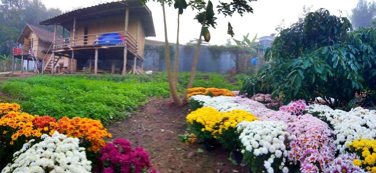 Baan Aingdoi Homestay, Chiang Dao Extérieur photo