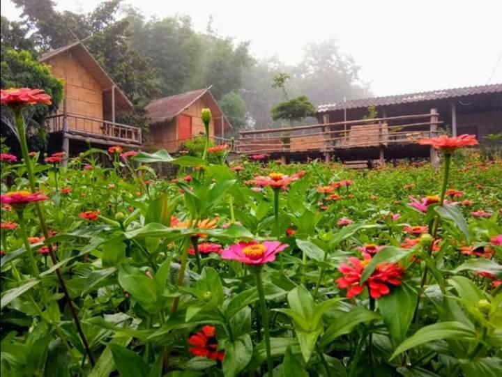 Baan Aingdoi Homestay, Chiang Dao Extérieur photo