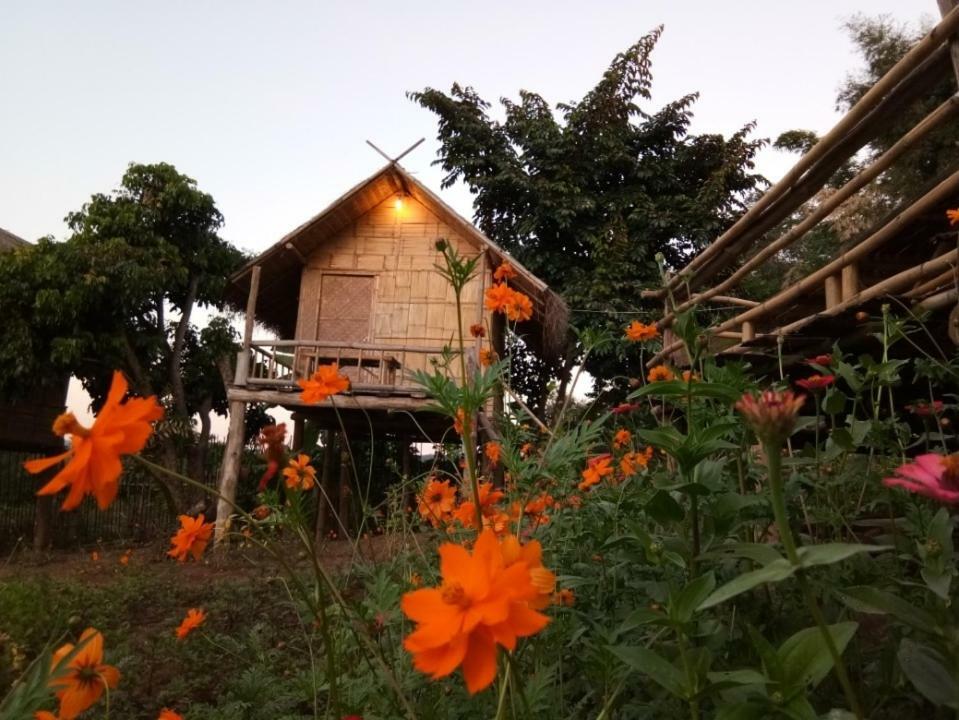Baan Aingdoi Homestay, Chiang Dao Extérieur photo