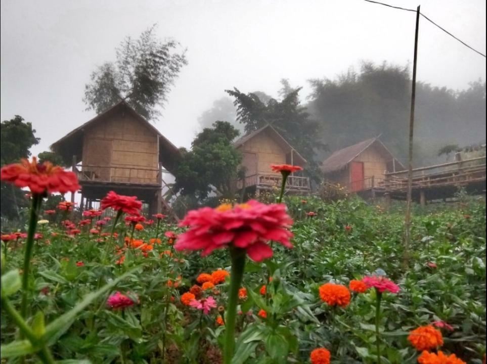 Baan Aingdoi Homestay, Chiang Dao Extérieur photo